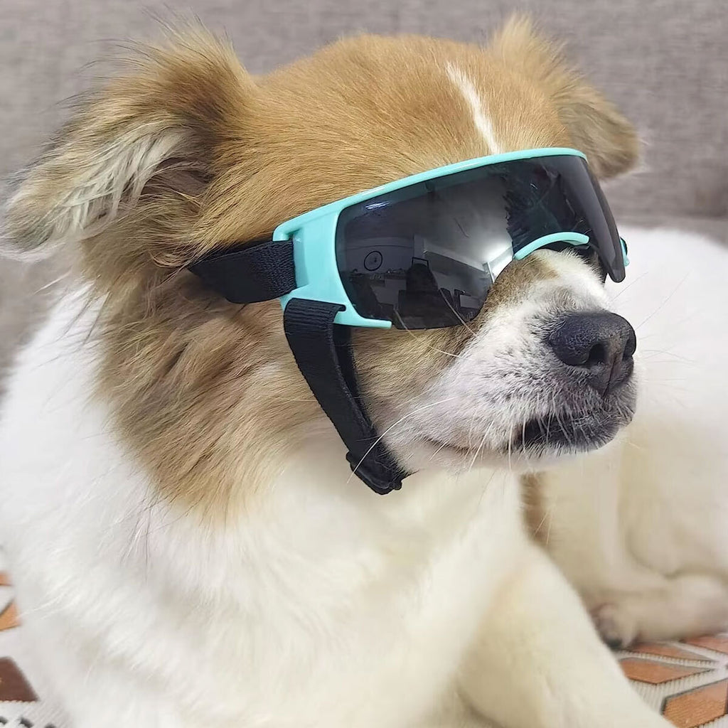 Dog Sunglasses UV Eye Protection Goggles for Small Pets Outdoor Travel Sunshade