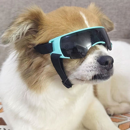 Dog Sunglasses UV Eye Protection Goggles for Small Pets Outdoor Travel Sunshade
