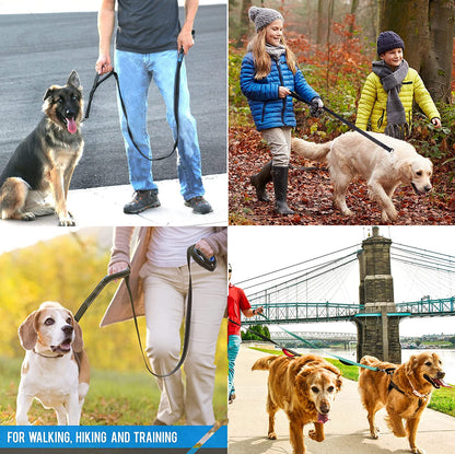 Heavy Duty Dog Leash - 2 Handles by Padded Traffic Handle for Extra Control, 6Foot Long - Perfect for Medium to Large Dogs (6 Ft, Black)