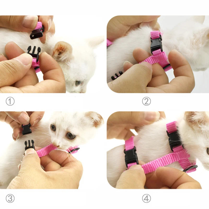 Angel Wings Pet Harness and Leash Set for Cats Puppy Rabbit Cute Cat Harnesses Kitten Accessories Artículos Para Mascotas Lead