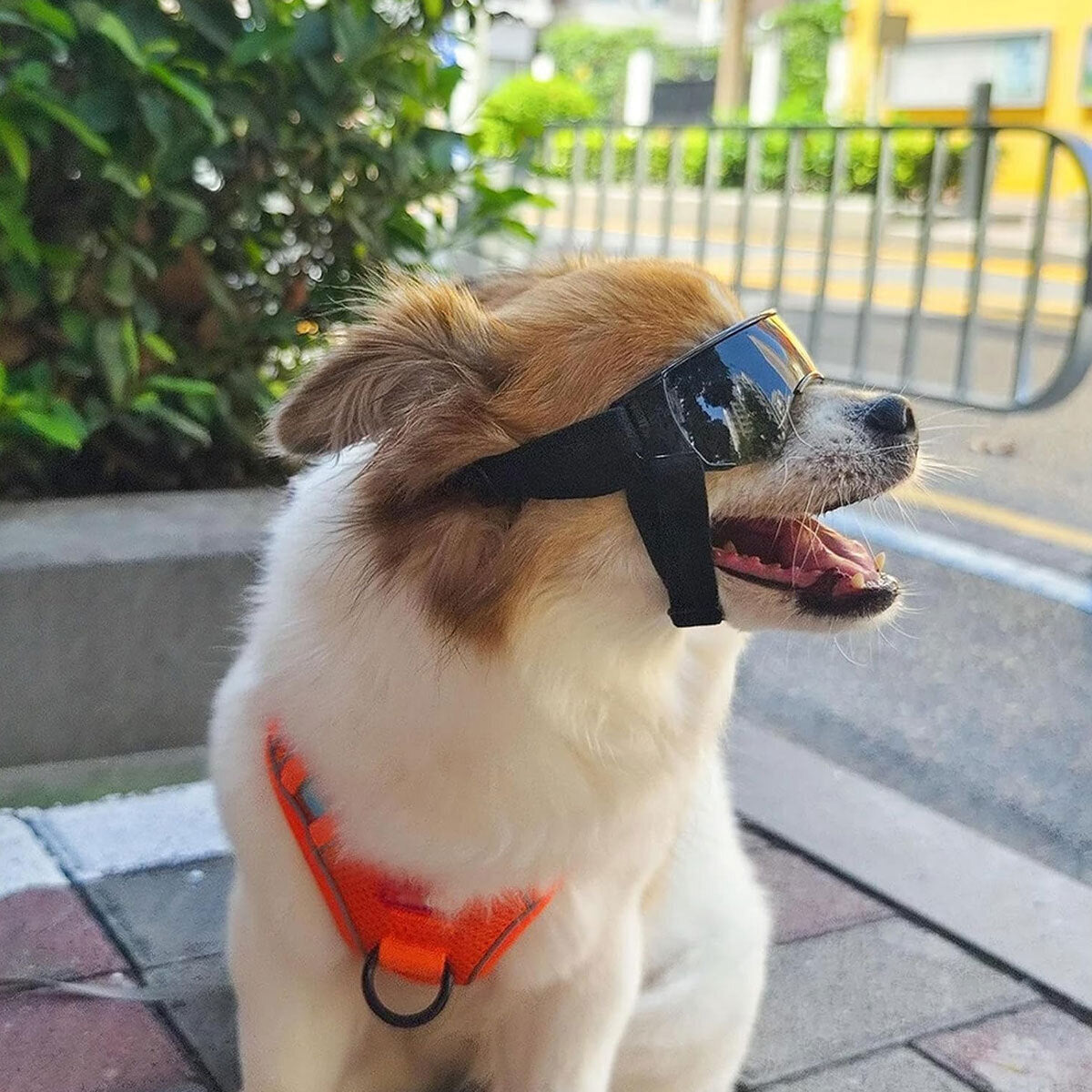 Dog Sunglasses UV Eye Protection Goggles for Small Pets Outdoor Travel Sunshade
