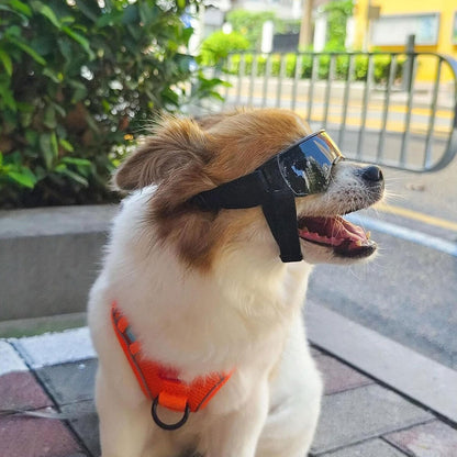 Dog Sunglasses UV Eye Protection Goggles for Small Pets Outdoor Travel Sunshade
