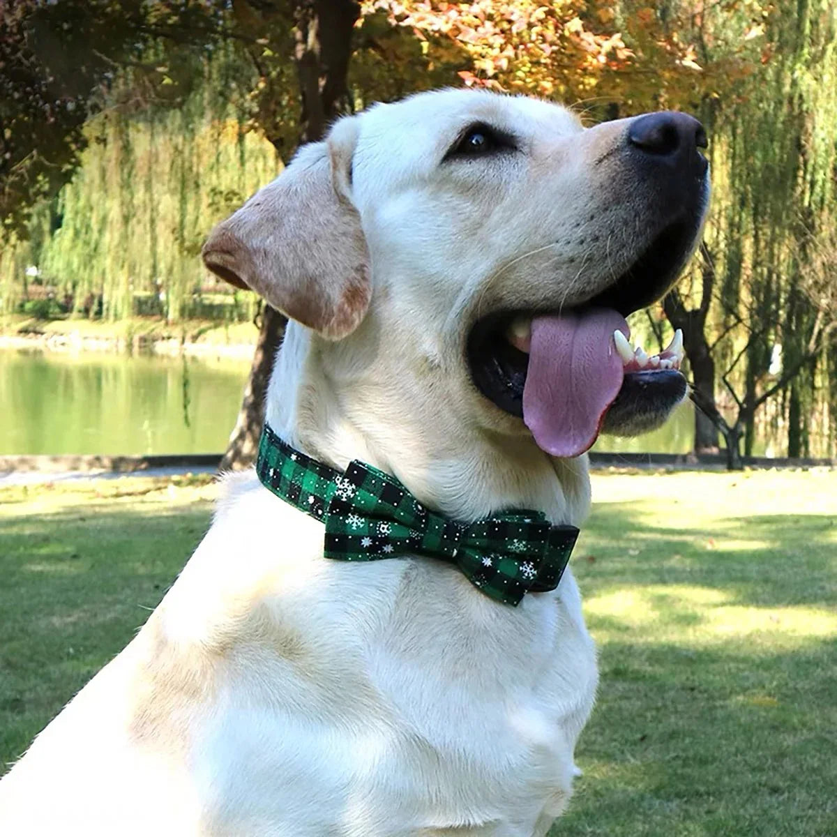 Dog Collar with Bow Tie,Christmas Plaid Snowflake Dog Collar with Adjustable Buckle Suitable for Small Large Dogs Cats Pets (S)